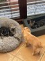 Sam_Sally (4)